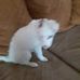 Leslie Suttles - Facebook