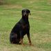Les Swain - Facebook