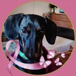 Leslie Baxter Swope - @swopexx - Instagram