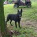 Les Taber - Facebook