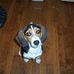 Leslie Teal - Facebook