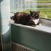 Les Thatcher - Facebook