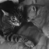 leslietolbert42 - @leslietolbert42 - TikTok