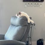 Leslie Trumble-Huntington - @trumblehuntington - Instagram