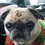 leslie sprinkle vance - @vancelesliesprinkle - Instagram