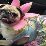 Leslie Sprinkle Vance - @bettysprinklevance2000 - Instagram
