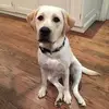 Leslie Weiss Arker - @ljwa12345 - TikTok