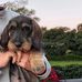 Leslie Weston - Facebook
