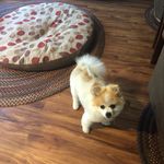 Leslie Whitmore - @lilynw18128 - Instagram