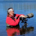 Leslie P Wild Photography - @lesliepwildphotography - Instagram