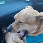 Leslie Wilder - @lwilder011 - Instagram