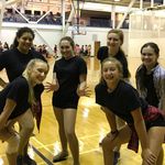 NHS Huskettes - @leslie.wilhelmus - Instagram