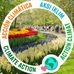 Lesley Willans - Facebook