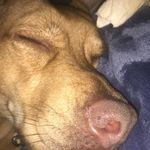Leslie Winder - @leslie.winder.50 - Instagram