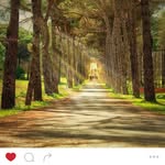 Lesly Jacques - @watchdude - Instagram