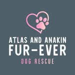 Leslie Dawson - @altruistic.for.dogs - Instagram