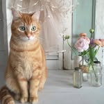 Leslie Dawson H - @lesliedawsonha - Instagram