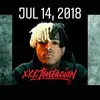 Leslie Patterson - @stopanimalsabuse6837 - TikTok