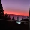 Leslie Wilkinson - @leslie.wilkinson8 - TikTok
