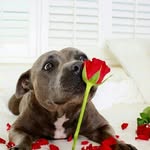 lesslie gomez - @angi_gomez_real21 - Instagram