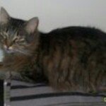 Marcella Lester Adams - @bugger2011 - Instagram