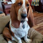 Lester Andescavage - @lester_andescavage - Instagram