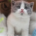 Lester Bacon - @lesterbacon5 - Instagram