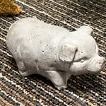 lester bacon (pig) - @just.lester.bacon.the.pig - Instagram