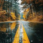Lester Ballard - @lester.ballard.735 - Instagram
