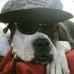 Lester Barlow - @08bully - Instagram