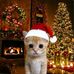 John Lester Badllo - Facebook