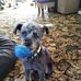 Lester Bingham - Facebook