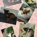 Lester Bray - Facebook