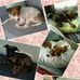 Lester Bray - Facebook