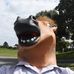 Cameron Lester - Facebook
