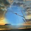 lestercarpenter5 - @lestercarpenter5 - TikTok
