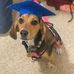 Carson Lester - Facebook