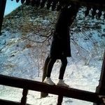 Ching Lester - @chinglester - Instagram