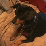 Lester Diggs - @kojack1948 - Instagram