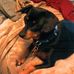 Lester Diggs - Facebook