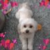 Lester Dix - Facebook