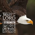 Lester Dreyer - Facebook