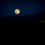 @lester_duncan3 - Instagram