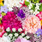 Lester’s Flowers - @lesters_flowers - Instagram