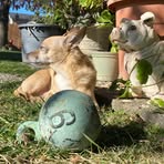 Lester Foster - Facebook