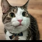 Lester's Foster Adventures - @lesters.foster.adventures - Instagram