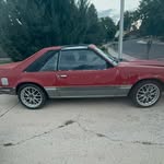 Lester82 fox - @lester_82_fox - Instagram