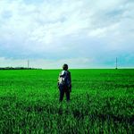 Lester_Fox - @lesterr_fox - Instagram