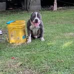 Lester Gardner - Facebook
