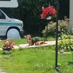Lester Gardner - @lester.gardner - Instagram